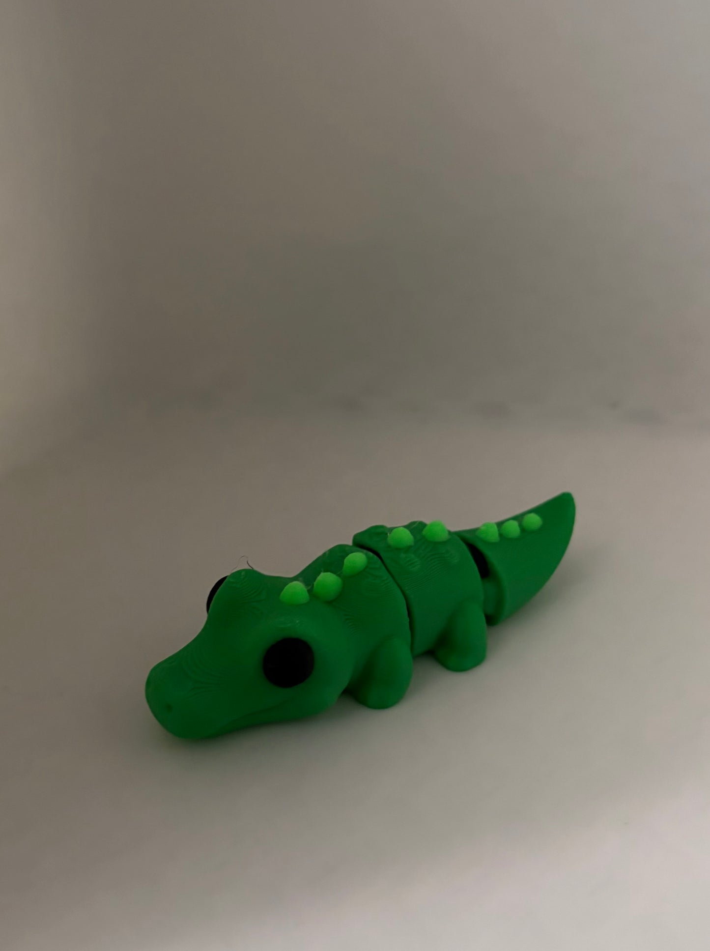Alligator