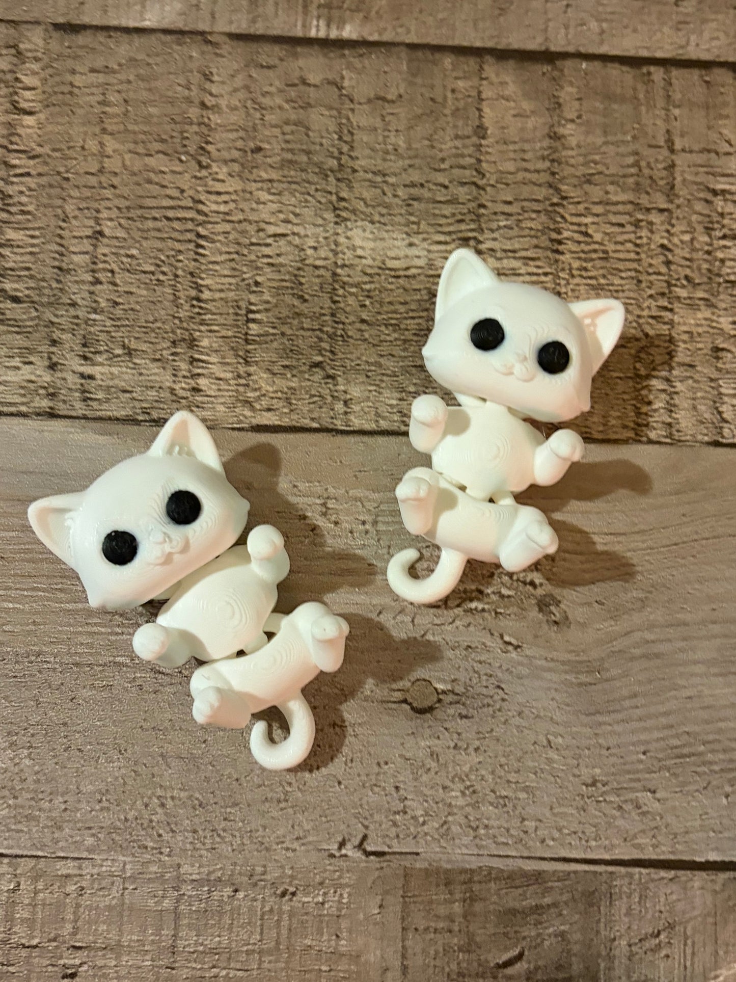 White Cat