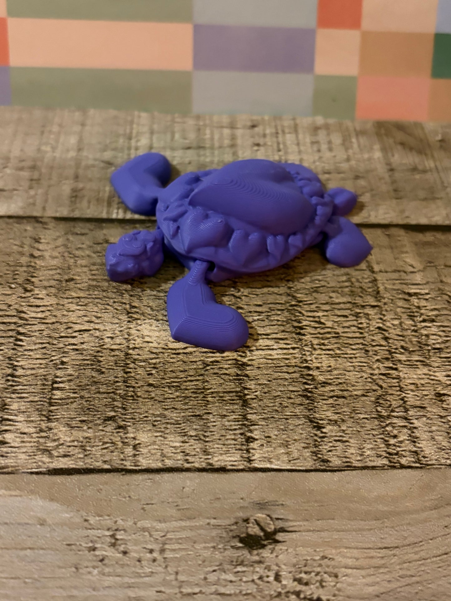 Heart Turtle