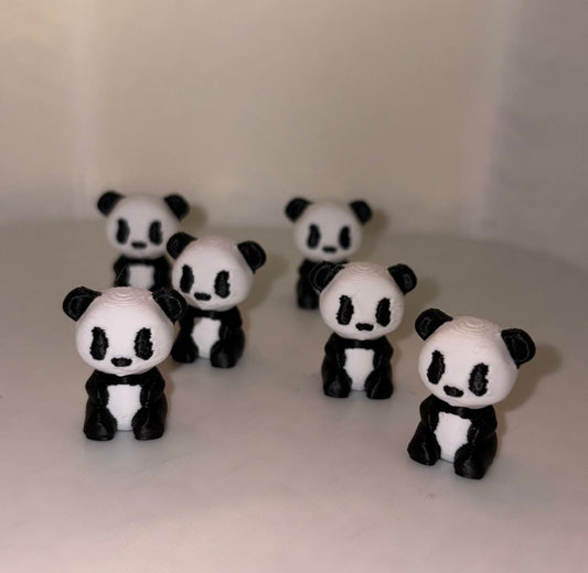 Panda Bear