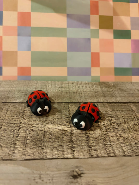 Ladybug