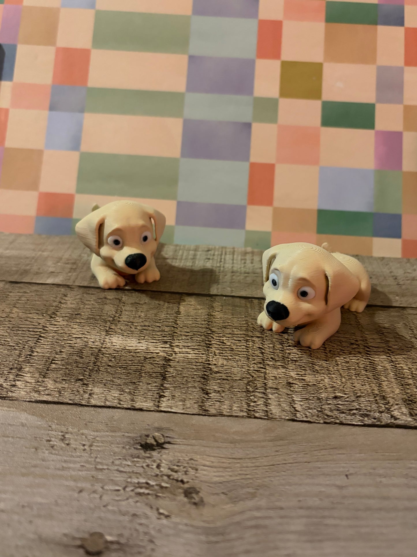 Puppy- Lab
