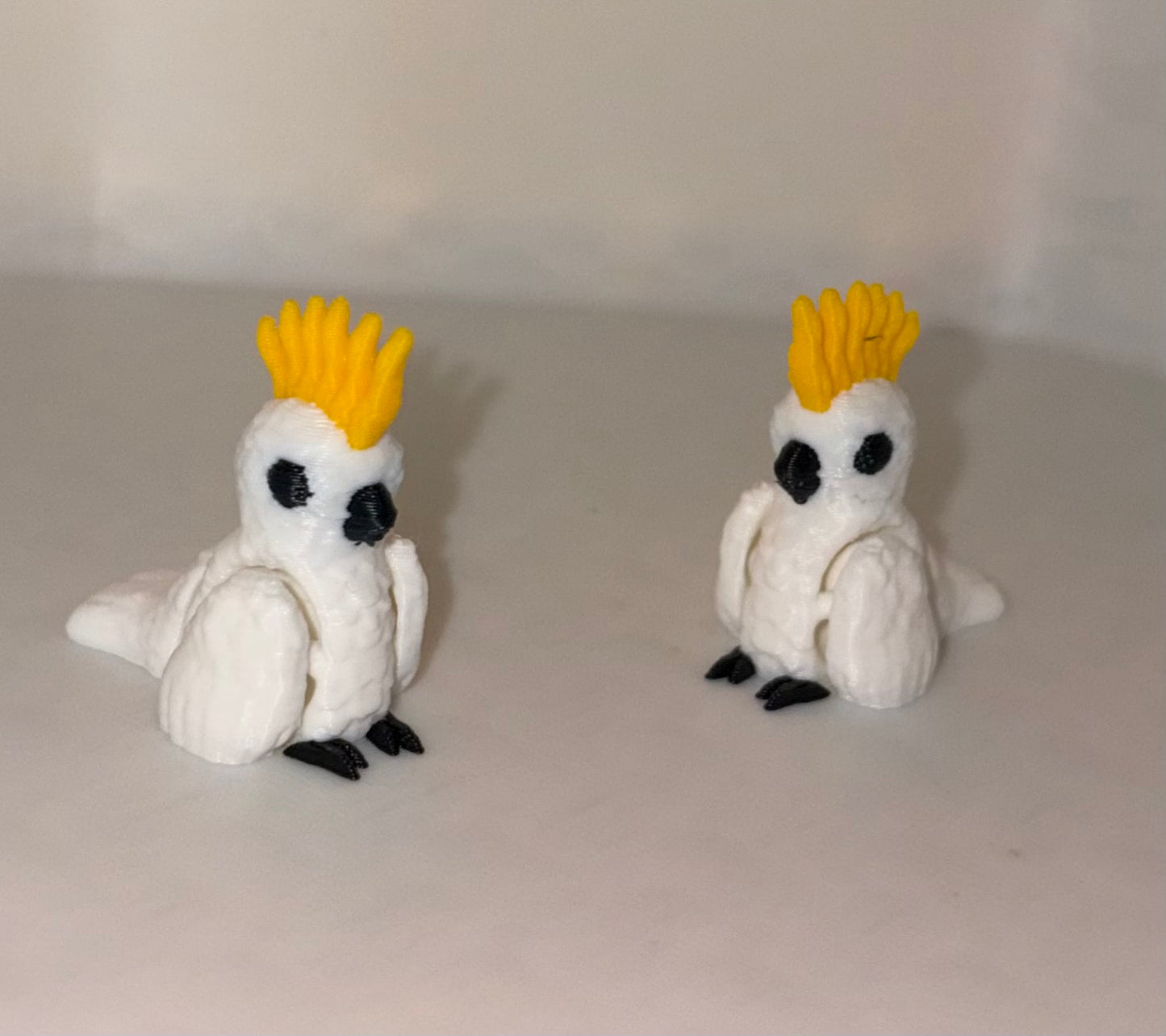 Cockatoo