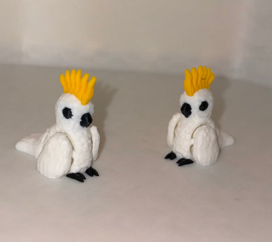 Cockatoo