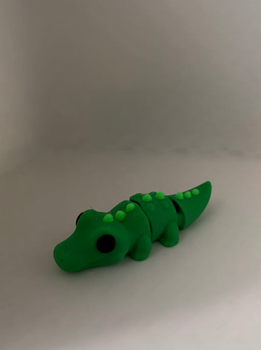 Alligator