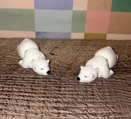 Polar Bear