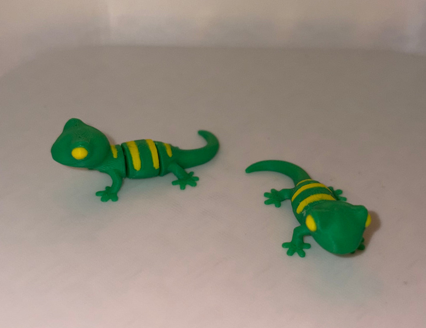 Lizard