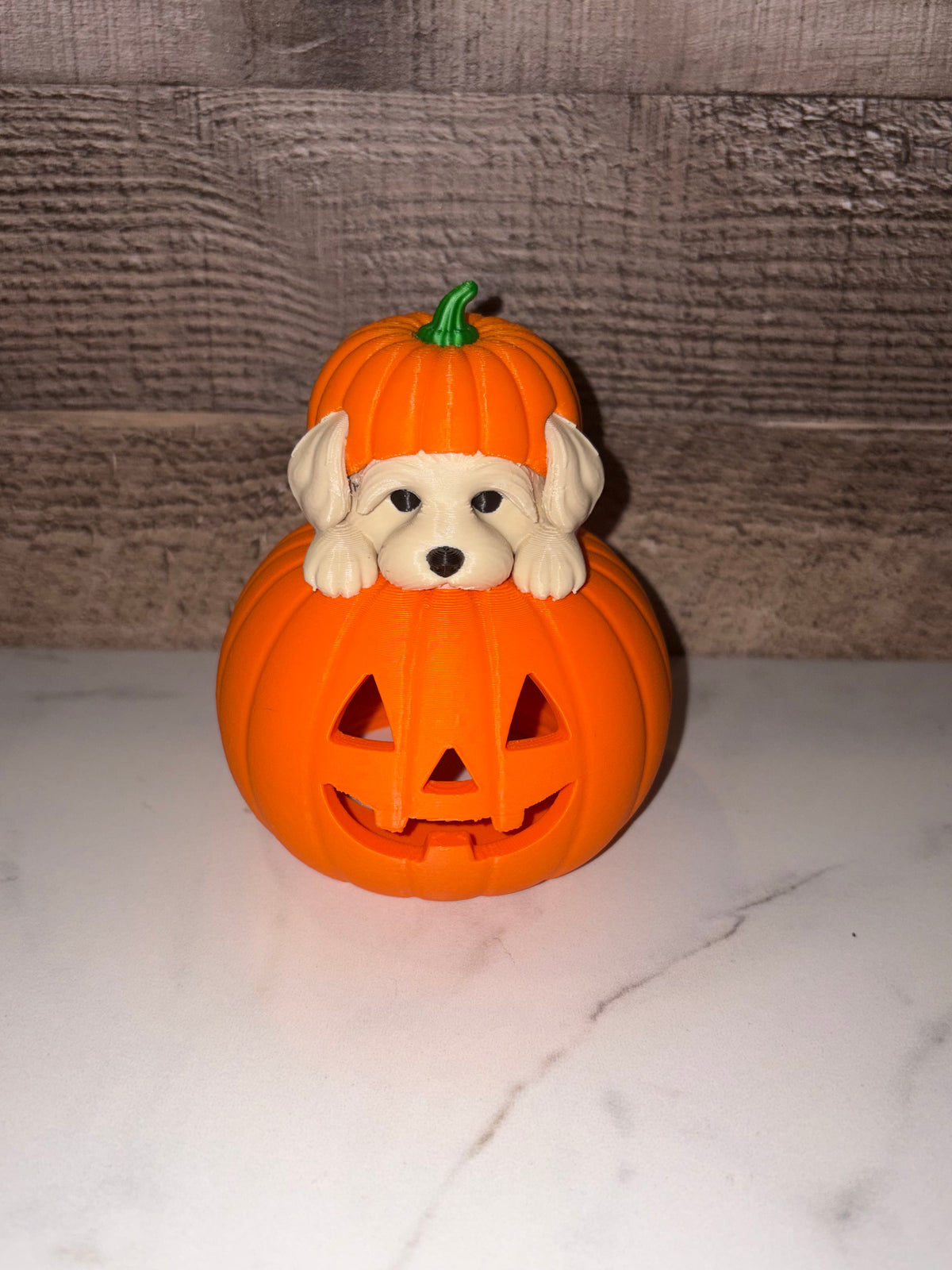 Maltese Tealight Pumpkin