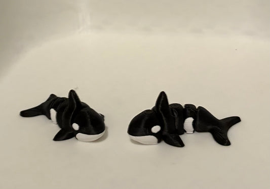 Orca