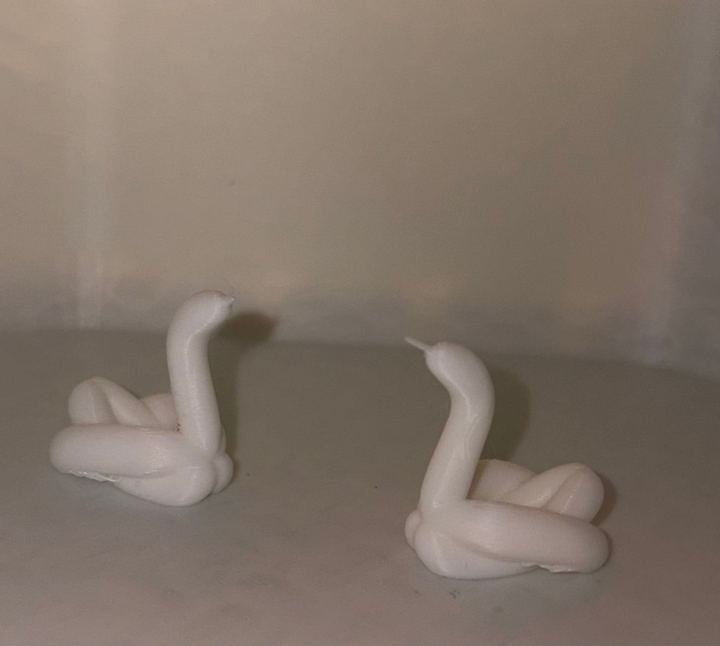 Swan