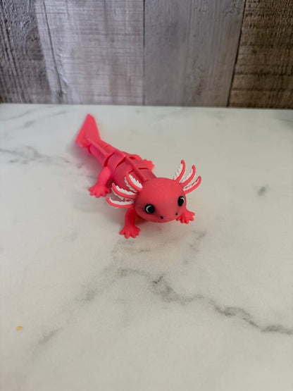 Axolotl
