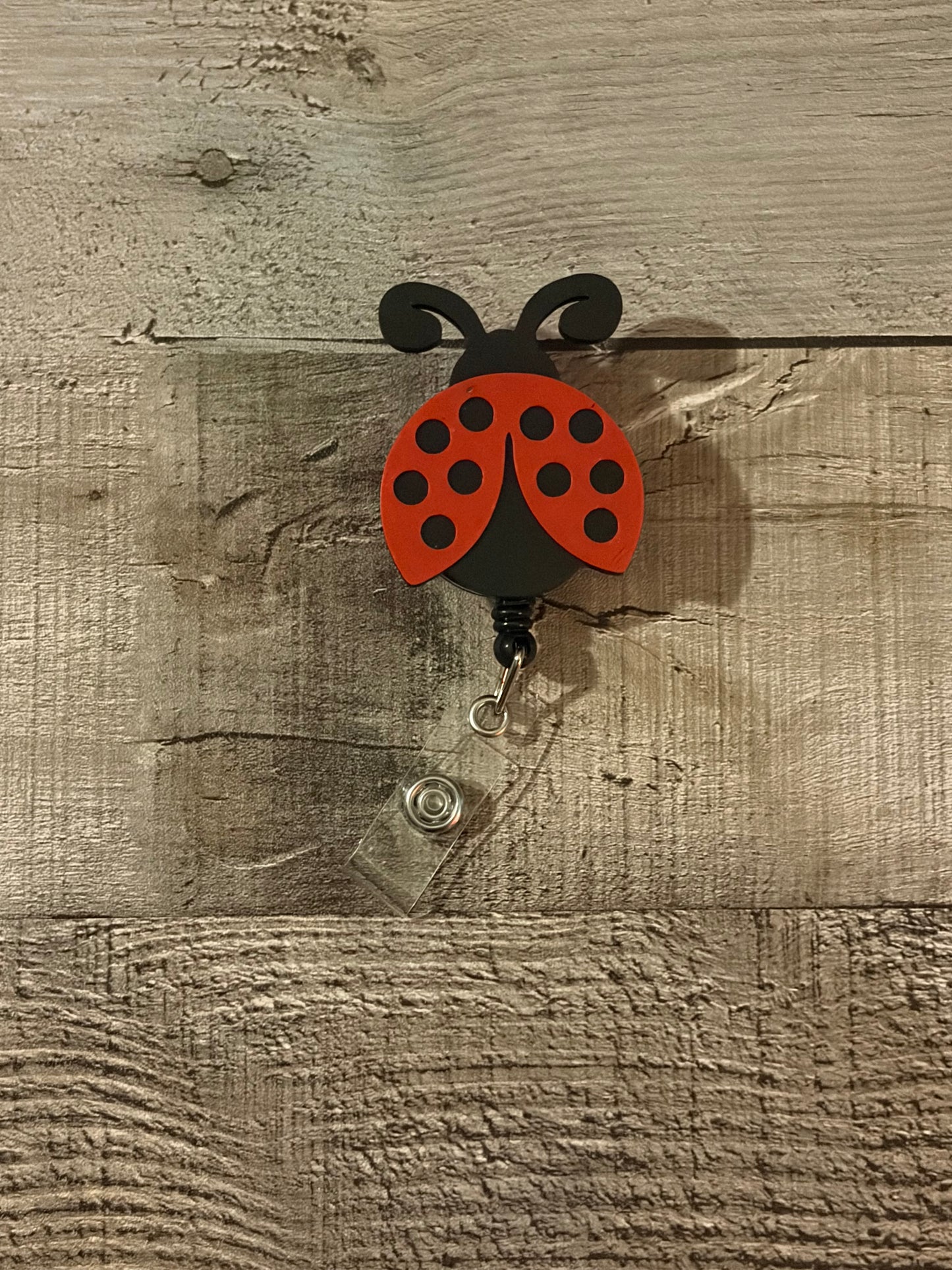 Ladybug