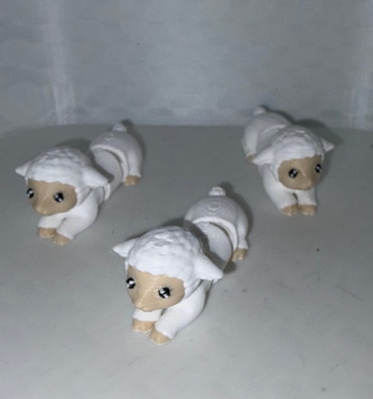 Sheep