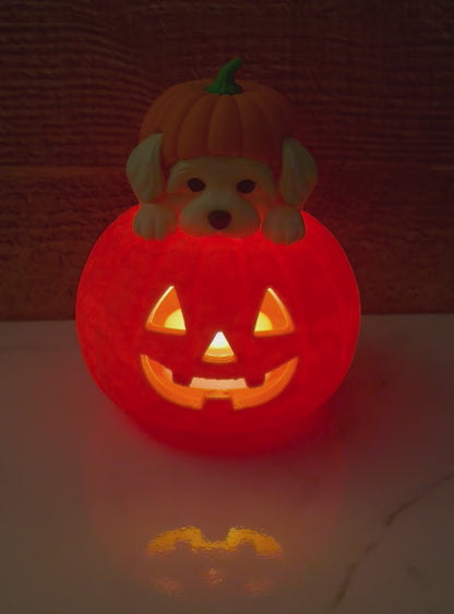 Maltese Tealight Pumpkin